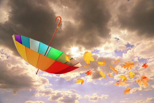 Umbrella and autumn leaves flying in rainy sky