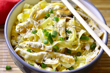 Homemade egg noodles with omelet and green onion.
