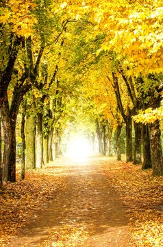 Weg ins Licht