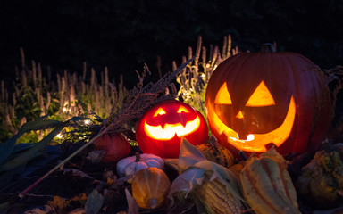 Herbst Halloween Kürbislaterne Kürbisse Lichter Nacht Erntedank Hintergrund