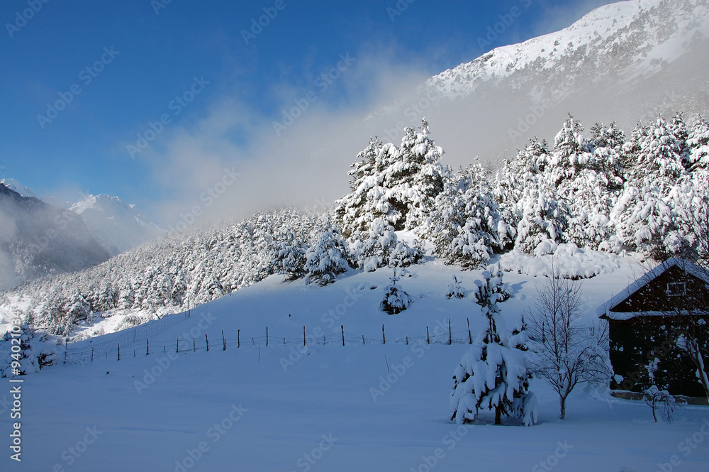 Wall mural Foggy morning in the mountains, the valley Digor, Vladikavkaz