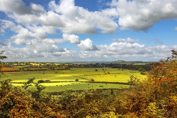 rural scenic view of green fields, Salisbury, England