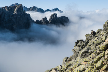 Tatra Mountains above clouds