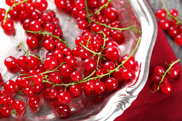 Fresh red currants in bowl close up