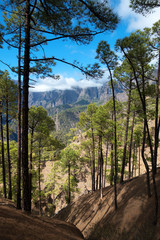 Naturpark  Wanderwege,Caldera de Taburiente, La Palma, Kanaren, Spanien