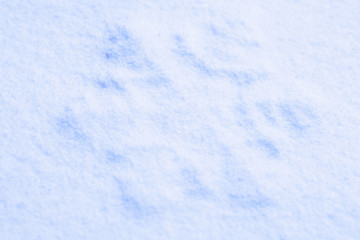 Photo blue snow