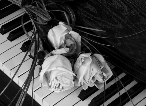 Fototapeta Condolence card - roses on piano