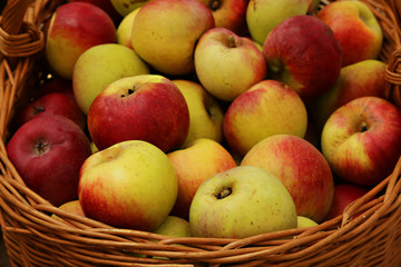 dans le panier
