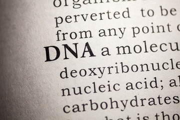 DNA