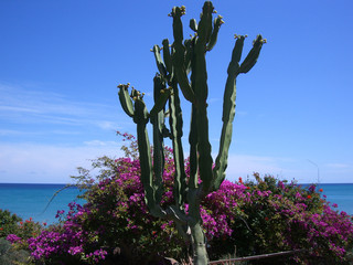 Meerblick auf den Kanaren