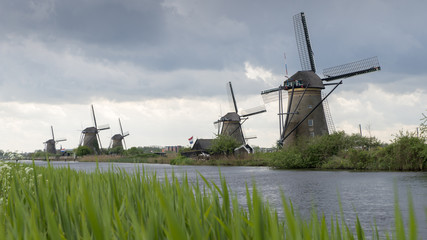 mulino