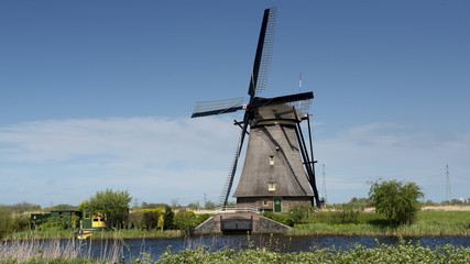 mulino