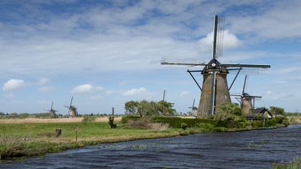 mulino
