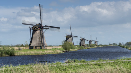 mulino