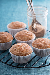 Apple sauce muffins with spices