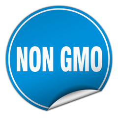 non gmo round blue sticker isolated on white