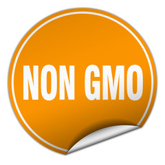 non gmo round orange sticker isolated on white