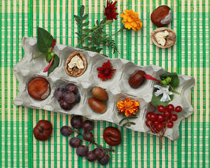 Bright autumn still life in a carton of eggs. Walking through th