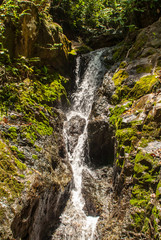 Fototapeta premium Mountain waterfall in the forest