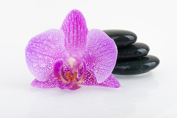 Naklejka na ściany i meble Spa theme - stones and an Orchid flower