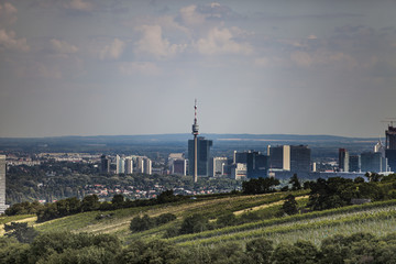 Fototapeta na wymiar Wiedeń - widok z Kahlenberg