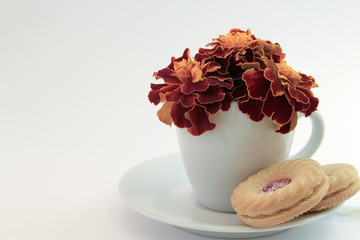 Marigold Flowers in a Tea Cup with Cookies on the Saucer.