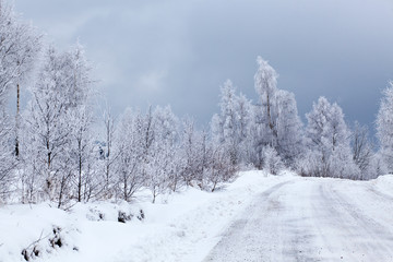 Winter landscape with snowy fir trees
