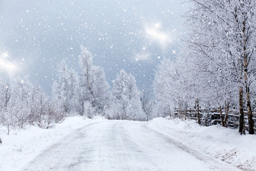Winter landscape with snowy fir trees