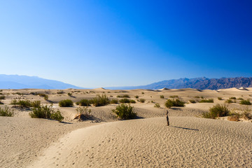 Mesquite Flat sand dunes, near Stovepipe Wells Death Valley NP