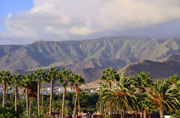 Fototapeta na wymiar View on mountains,palm trees and cloudy sky in Tenerife,Canary Islands.