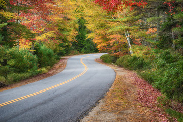 Fototapeta premium Winding road curves through autumn trees in New England