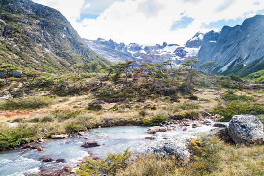 Nature in Tierra del Fuego, Argentina