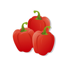 fresh red peppers, vector illustration, isolated on white background