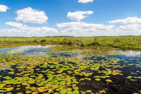 Wetlands in Nature Reserve Esteros del Ibera, Argentina