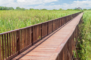 Boardwalk over wetlands in Nature Reserve Esteros del Ibera, Argentina