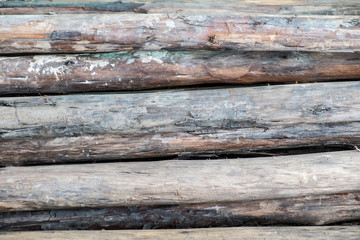 Obraz premium old wood background