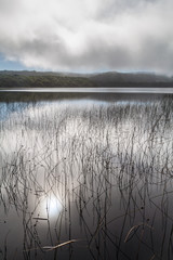 Gloomy misty morning at a lake in National Park Chiloe, Chile