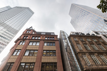 Naklejka premium frankfurt germany skyscrapers