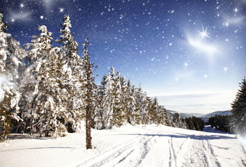 Winter landscape with snowy fir trees