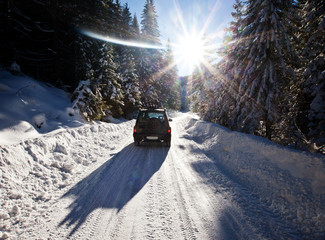 Winter landscape with snowy fir trees