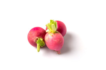 Small pink radish vegetable over white background