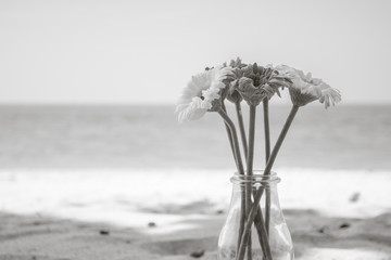 Naklejka na ściany i meble Artificial flowers on the beautiful beachwith silhouette. - mono
