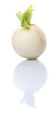 Small white radish vegetable over white background