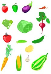 
set of vegetables