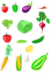 
set of vegetables