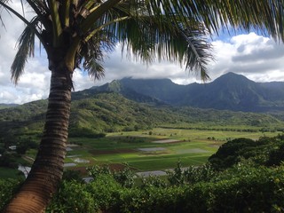 Kauai landscape