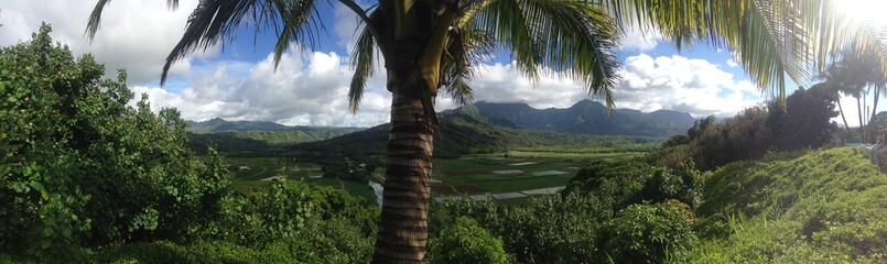 Kauai landscape