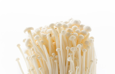 Golden needle mushroom