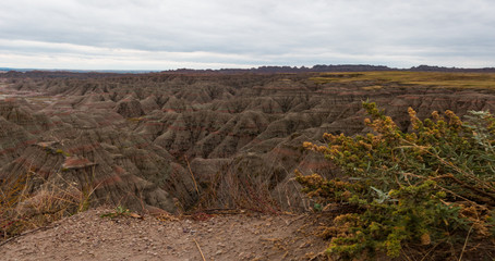 Panoramic view of Black Hills National Park