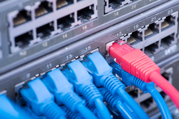 Network switch and ethernet cables,Data Center Concept.